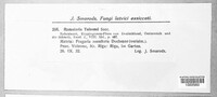 Image Associated With the Occurence
